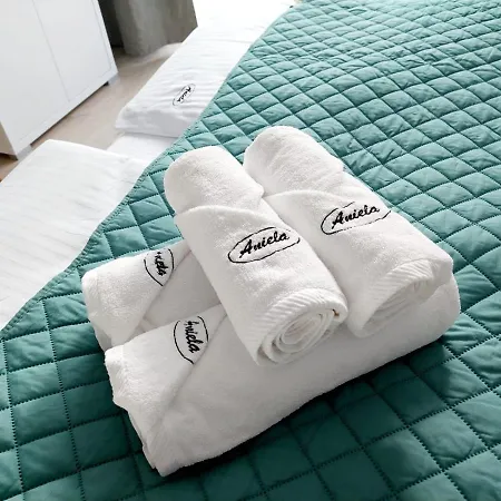 Aniela ゲストハウス ミエンジズドロイェ